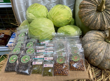 สมเด็จพระกนิษฐาธิราชเจ้า กรมสมเด็จพระเทพรัตนราชสุดา ฯ ... พารามิเตอร์รูปภาพ 84